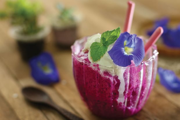 5 Must-Try Dragon Fruit Recipes