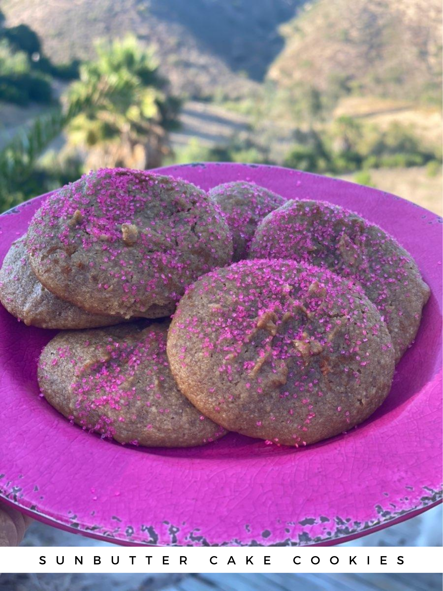 Sunbutter Cake Cookies