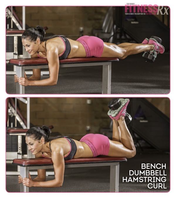 BENCH DUMBBELL HAMSTRING CURL