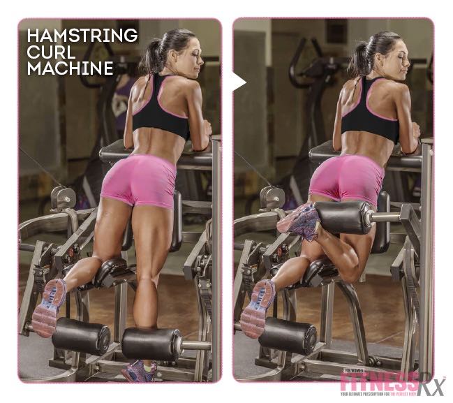 HAMSTRING CURL MACHINE