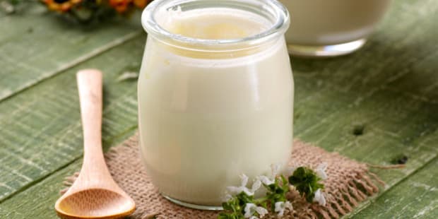 The 6 Best Probiotics For Your Health