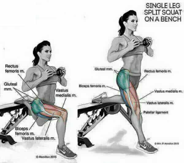 Perfect Butt Workout