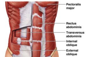 How to Get Amazing Abs