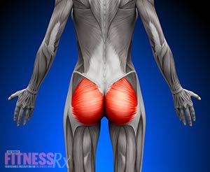 6 Glute Training Myths - Get The Facts For Better Results