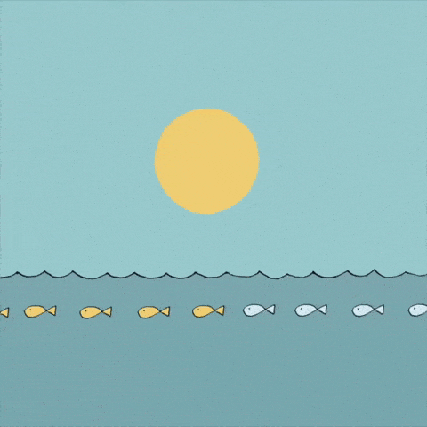 Animation Illustration GIF by Yuval Robichek - Find & Share on GIPHY