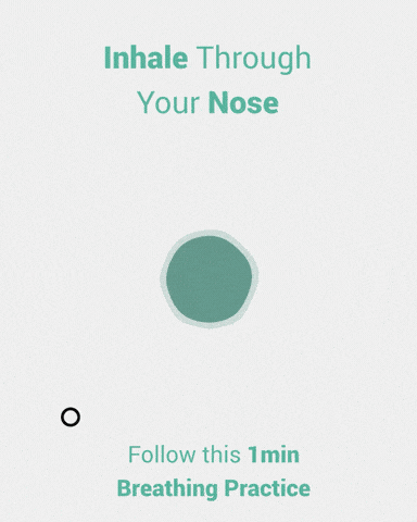 Yoga Hold GIF by YOGABODY - Find & Share on GIPHY
