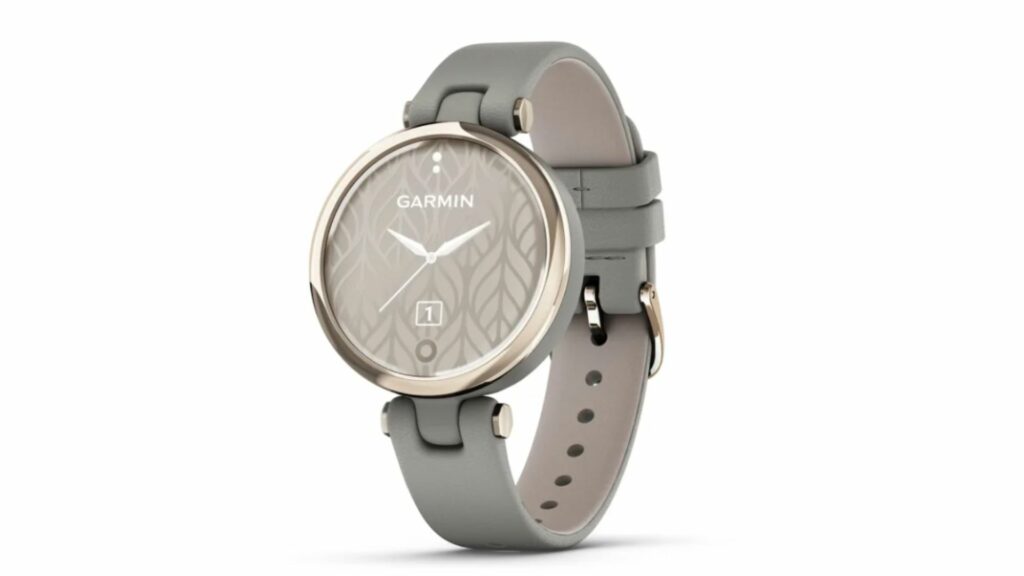 garmin lily