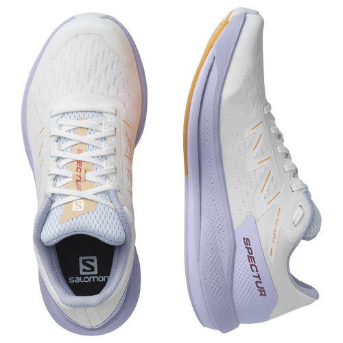 salomon running shoes on white background