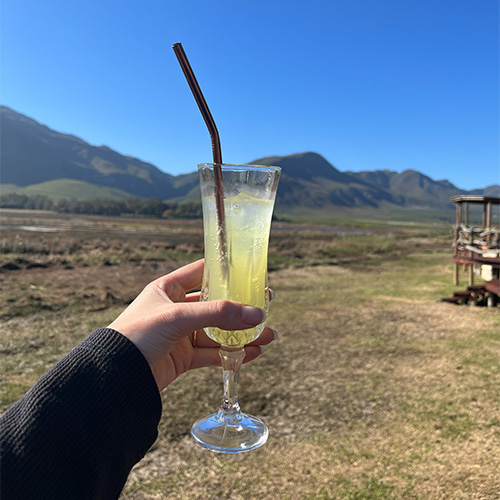 A Hidden Gem Of Tranquility: Mosaic Lagoon Lodge