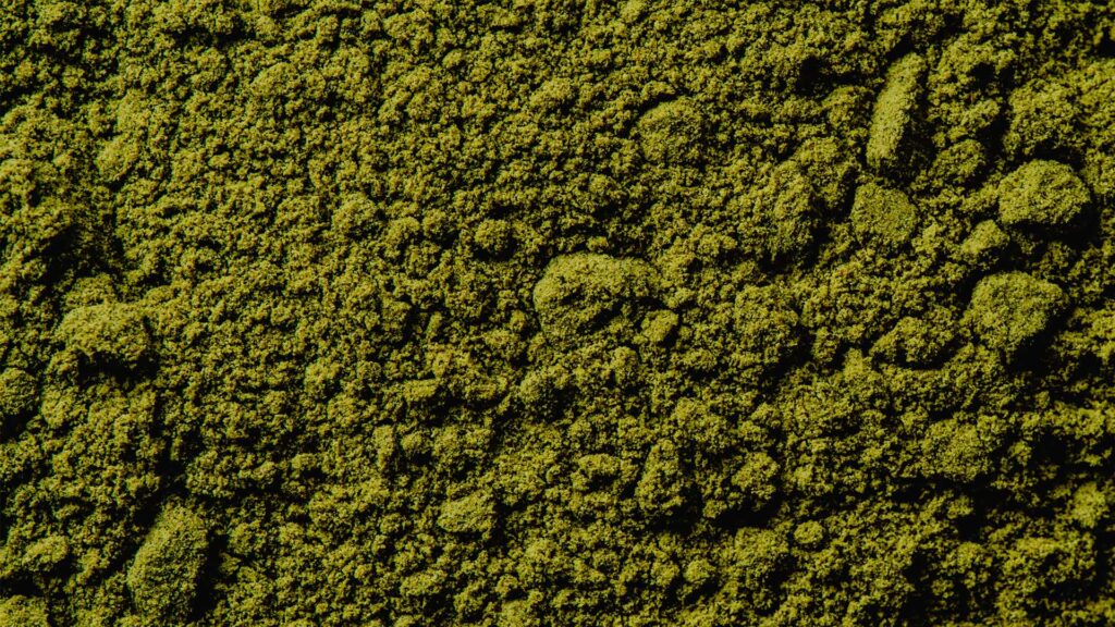 What Is Moringa And What Are The Health Benefits?