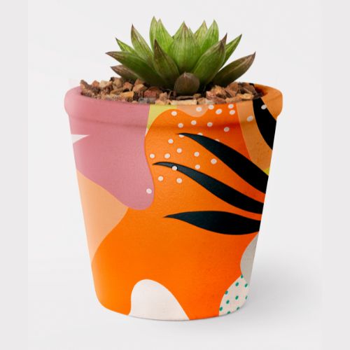 potted plant image by Rawpixel