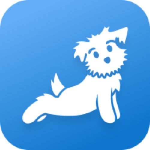 down dog fitness app