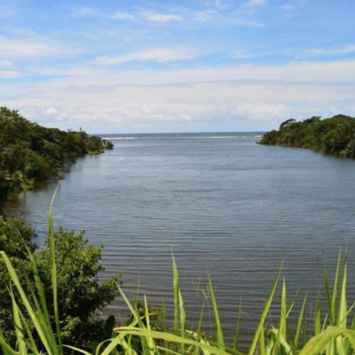 Mpenjati Nature Reserve