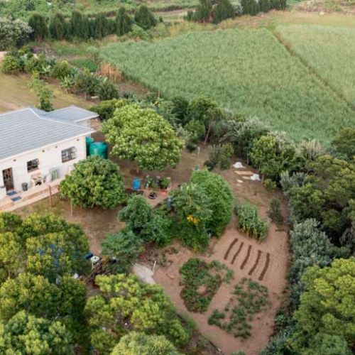 Ubumbano Farm Stall