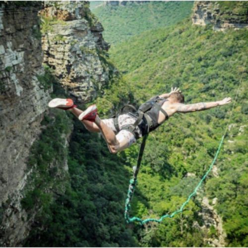 Wild 5 Adventures