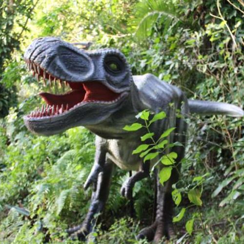 Dino Park Port Shepstone