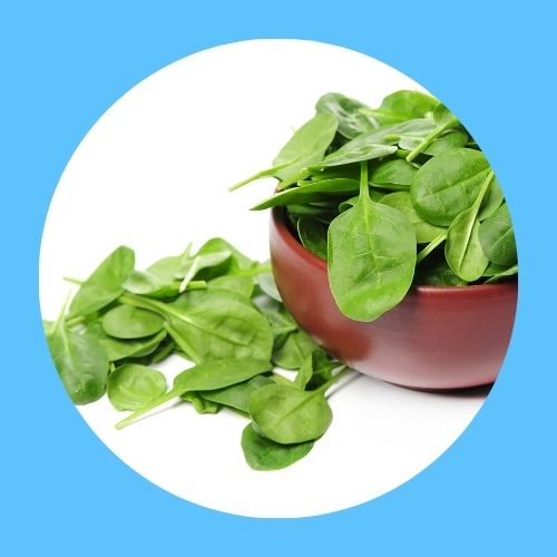 Vitamin B9 folic acid foods like spinach