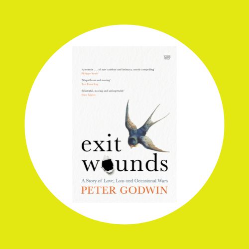 Exit Wounds by Peter Godwin