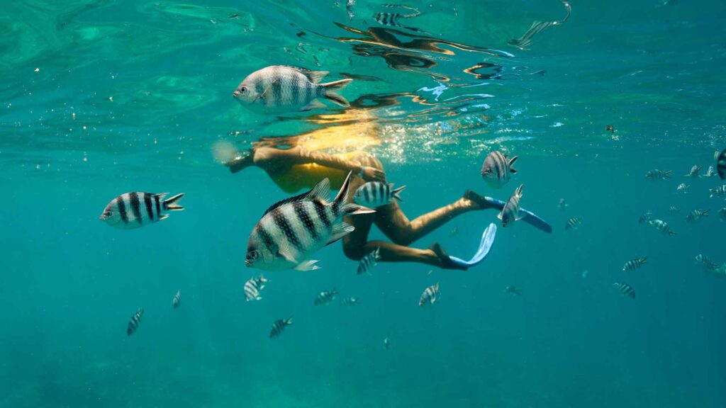 All-Inclusive Family Holidays - Snorkelling