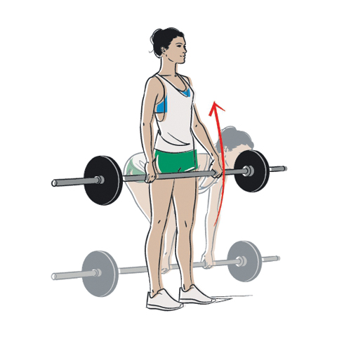 illustration of woman doing a deadlift