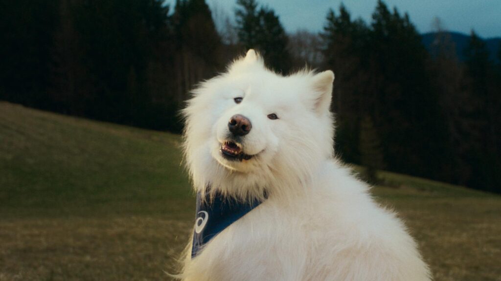 ASICS Signs First-Ever Dog Ambassador To Prove Movement Is For Everyone