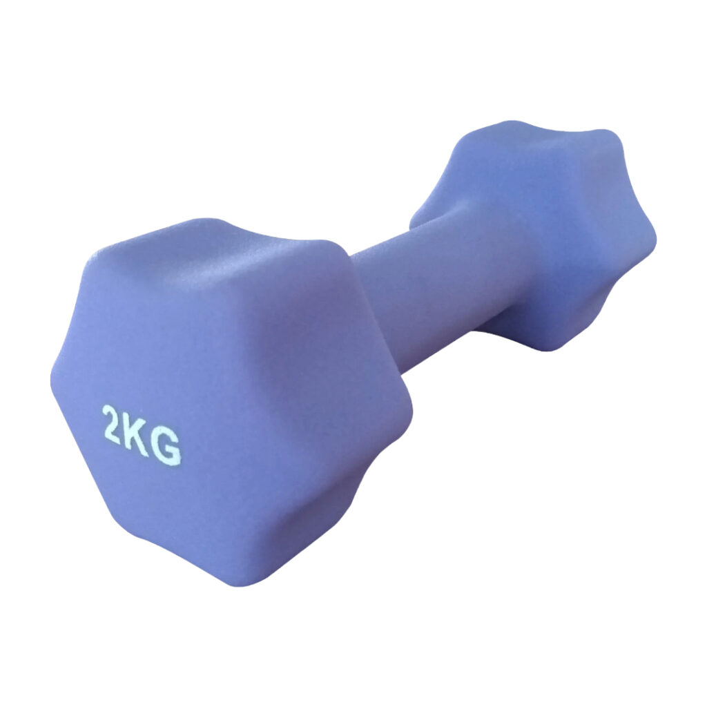 OTG 2KG Dipping Dumbbell