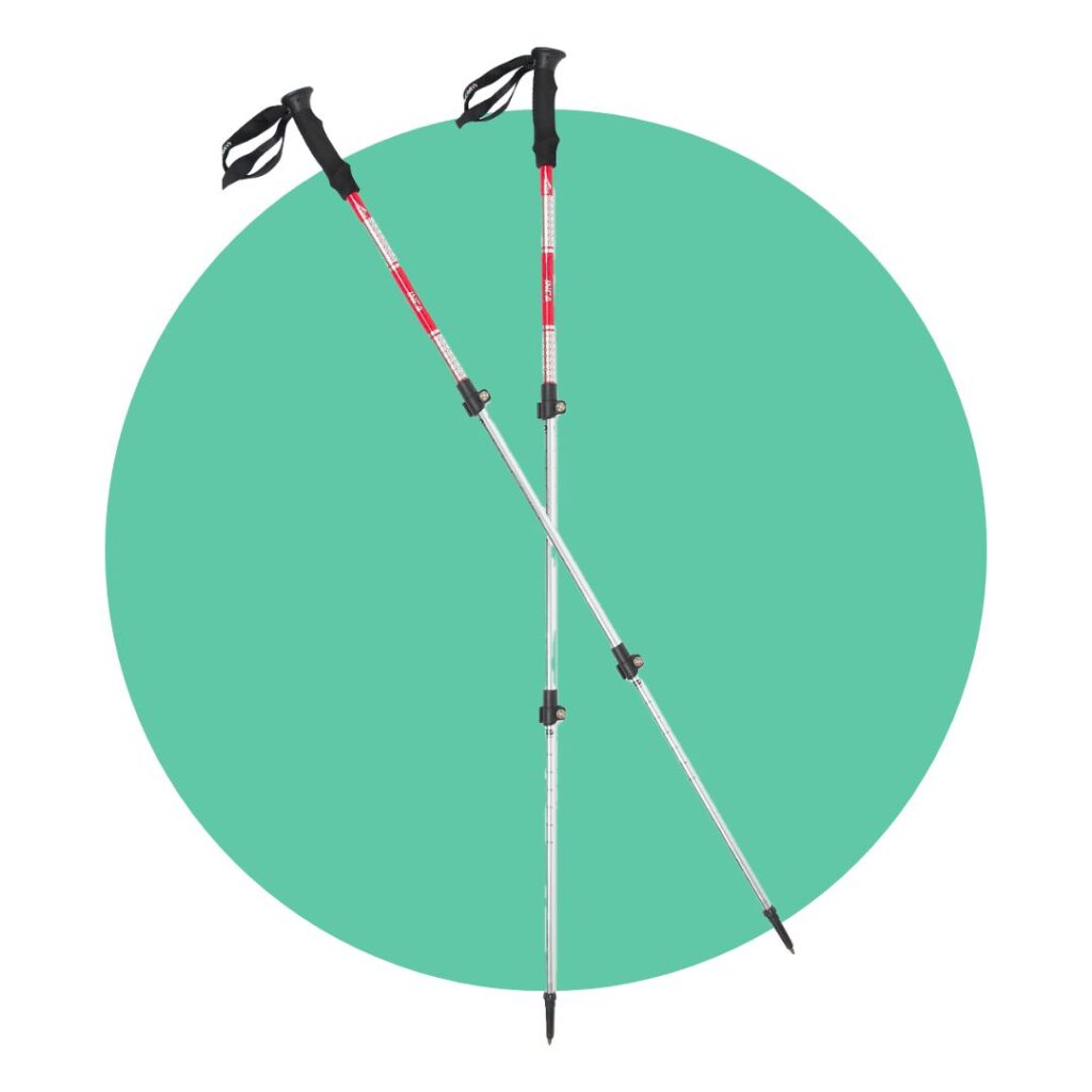 First Ascent Inca Trekking Poles Twin Pack