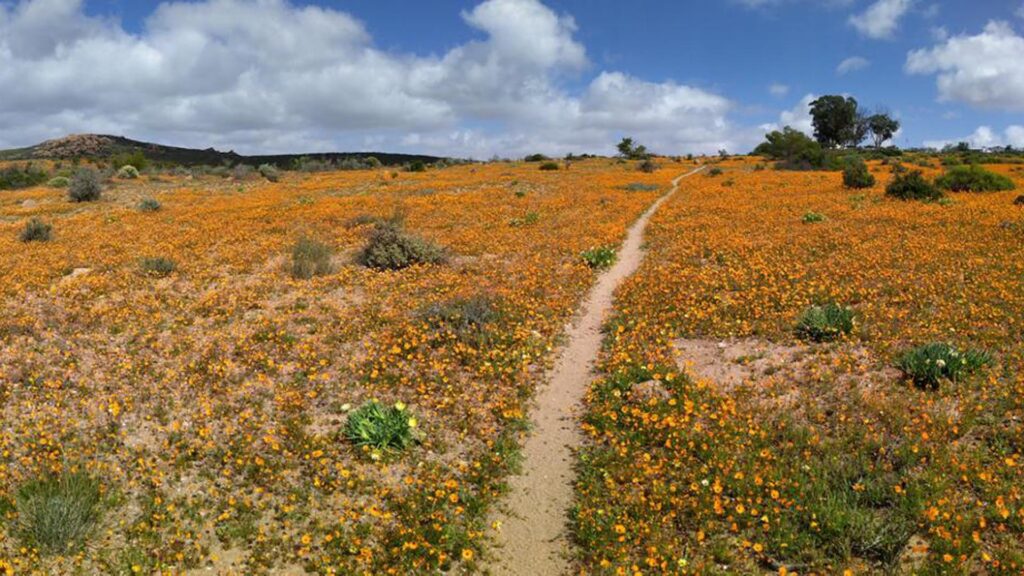 Best hikes in South Africa Skilpad Walking Trail