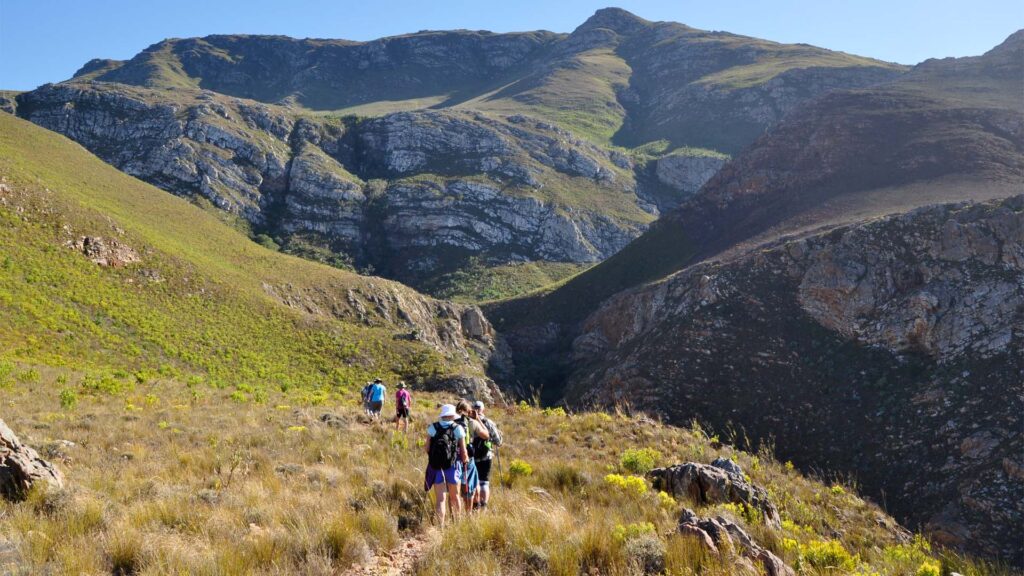 The Green Mountain Trail