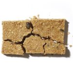 sunflower protein bar
