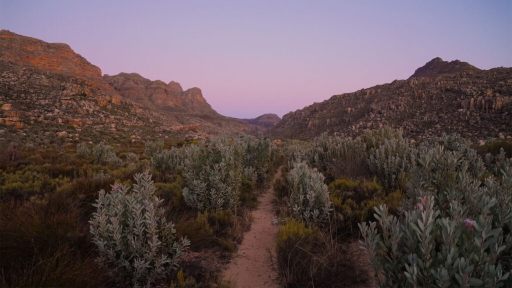 Cederberg Mountains