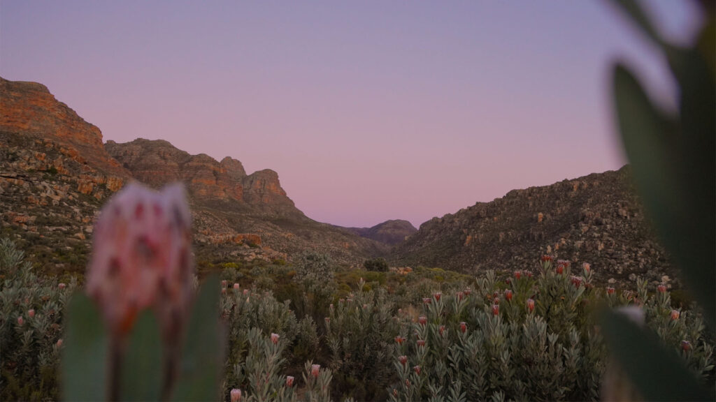Cederberg Park Kromrivier: The Epic Mountain Escape You’ll Want To Book Immediately