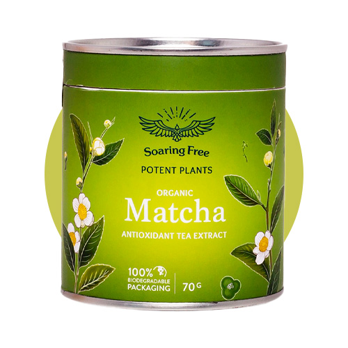 8 Benefits Of Matcha Tea That Will Make You Want To Drink It Every Day